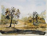Country Lane1